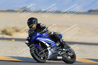 media/Jan-14-2024-SoCal Trackdays (Sun) [[2e55ec21a6]]/Turn 4 Tree of Life (155pm)/